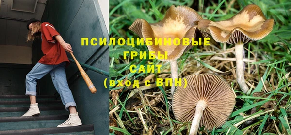 хмурый Арсеньев