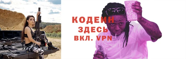 хмурый Арсеньев