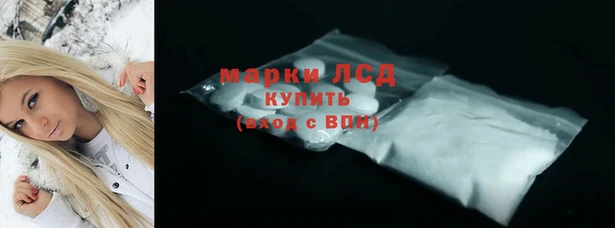 хмурый Арсеньев