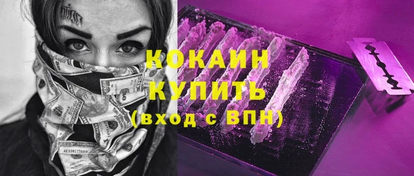 хмурый Арсеньев