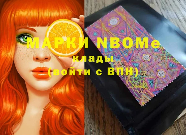 хмурый Арсеньев